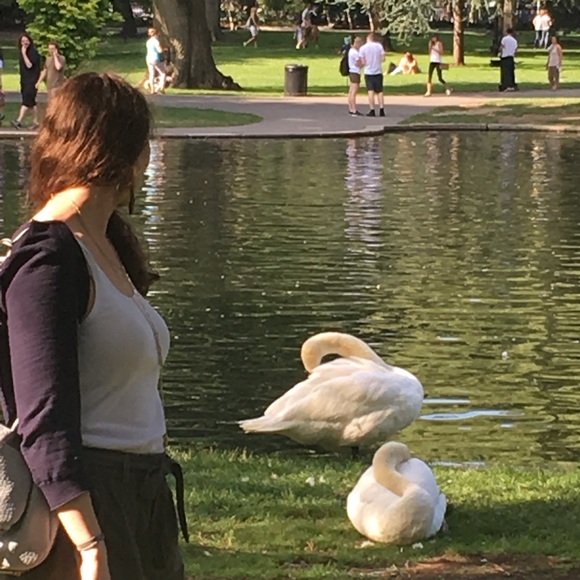 swan1228
